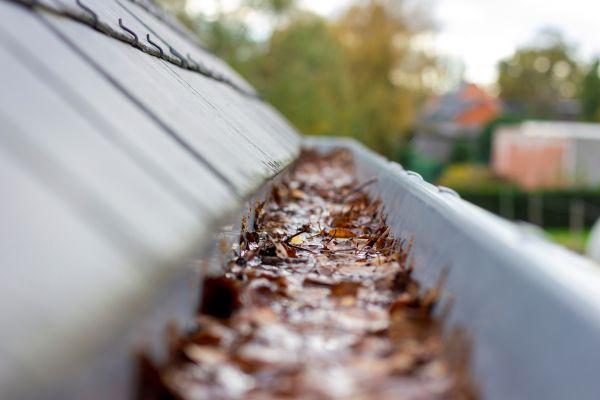 Commercial Gutter Cleaning in Orlando