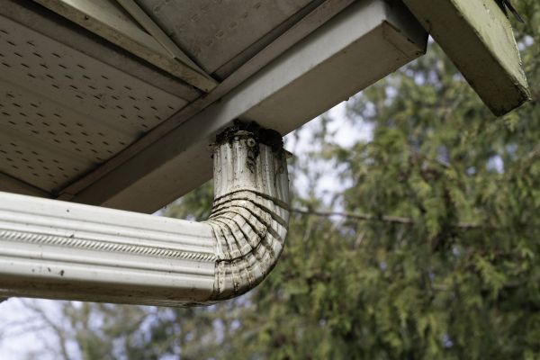 Downspout Cleaning in Orlando