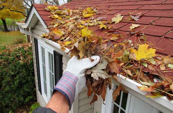 Rain Gutter Cleaning Service in Orlando
