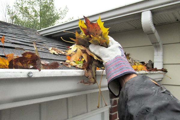 Roof Gutter Cleaning in Orlando