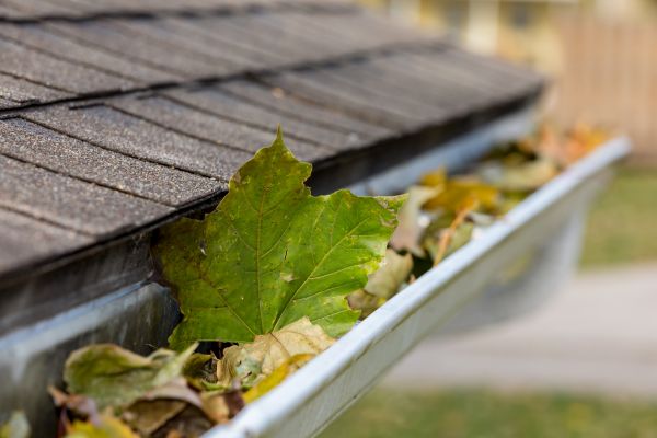 Commercial Downspout Cleaning in Orlando