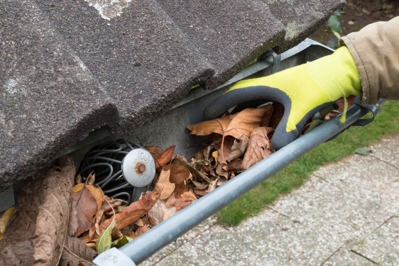 Business Gutter Cleaning