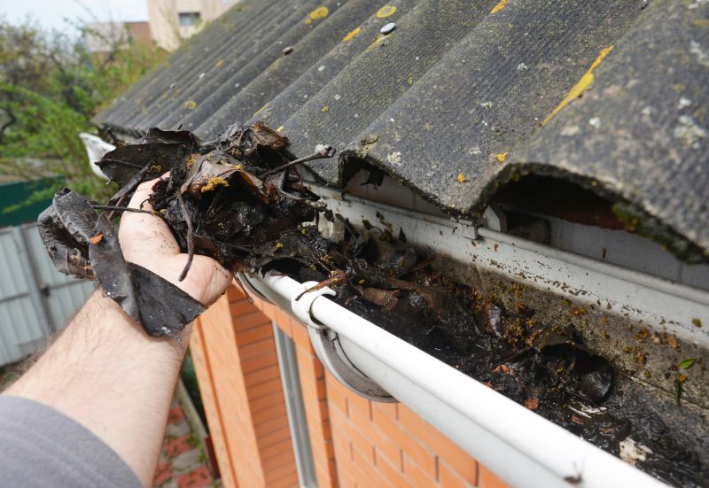 Roof Gutter Debris Removal